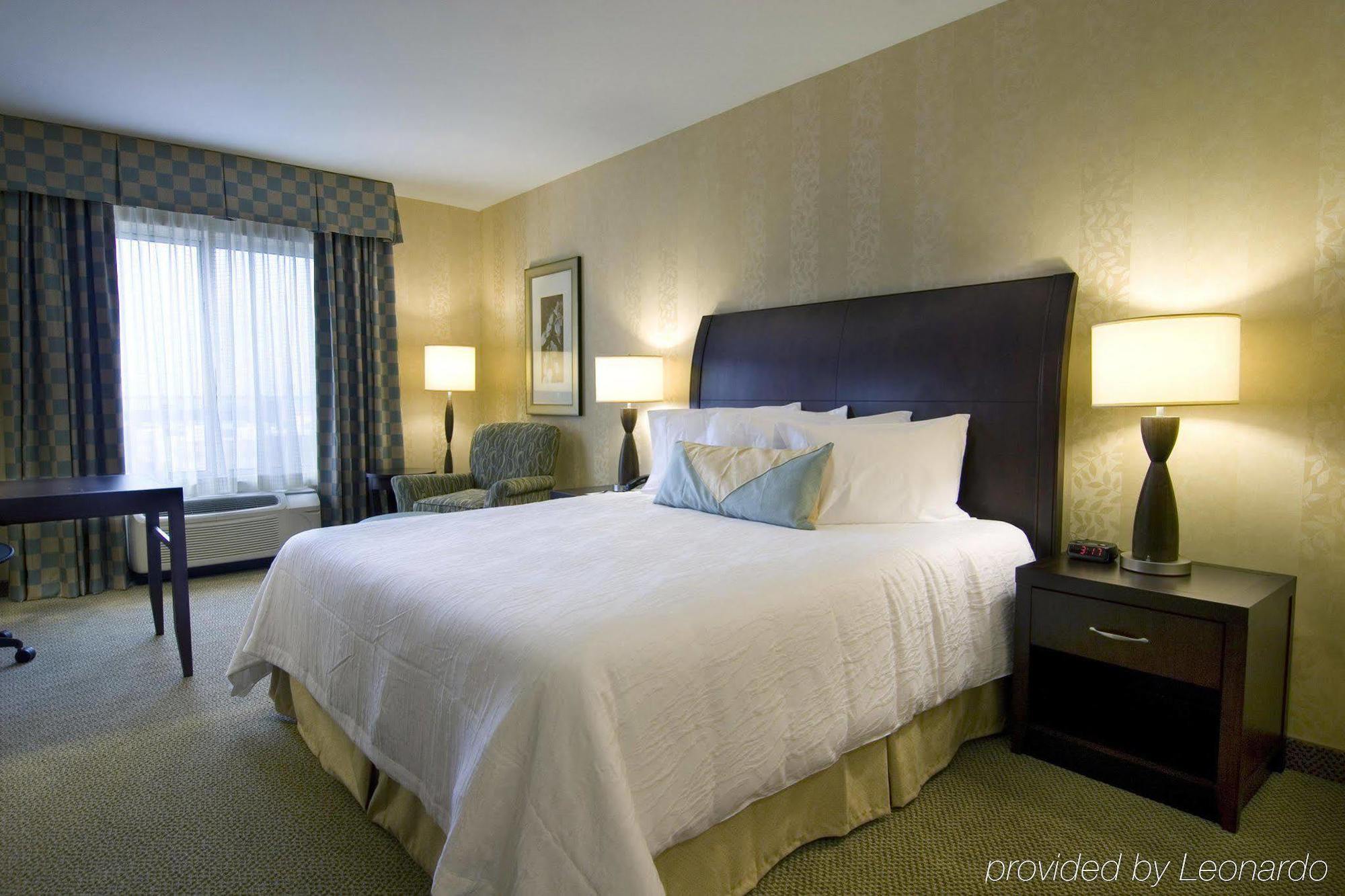 Hilton Garden Inn Detroit/Нови Номер фото