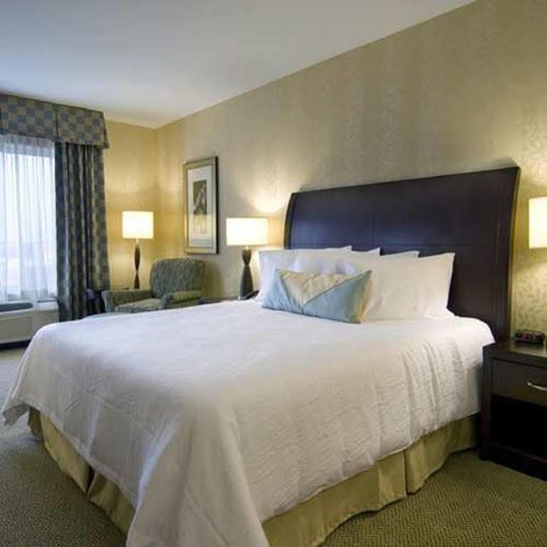 Hilton Garden Inn Detroit/Нови Экстерьер фото